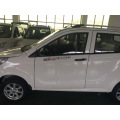 Made in China Low Price Electric Car for Sale/EV Car High Quality